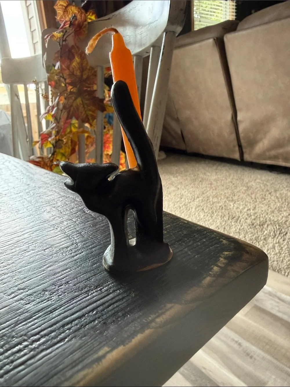 N/A black cat